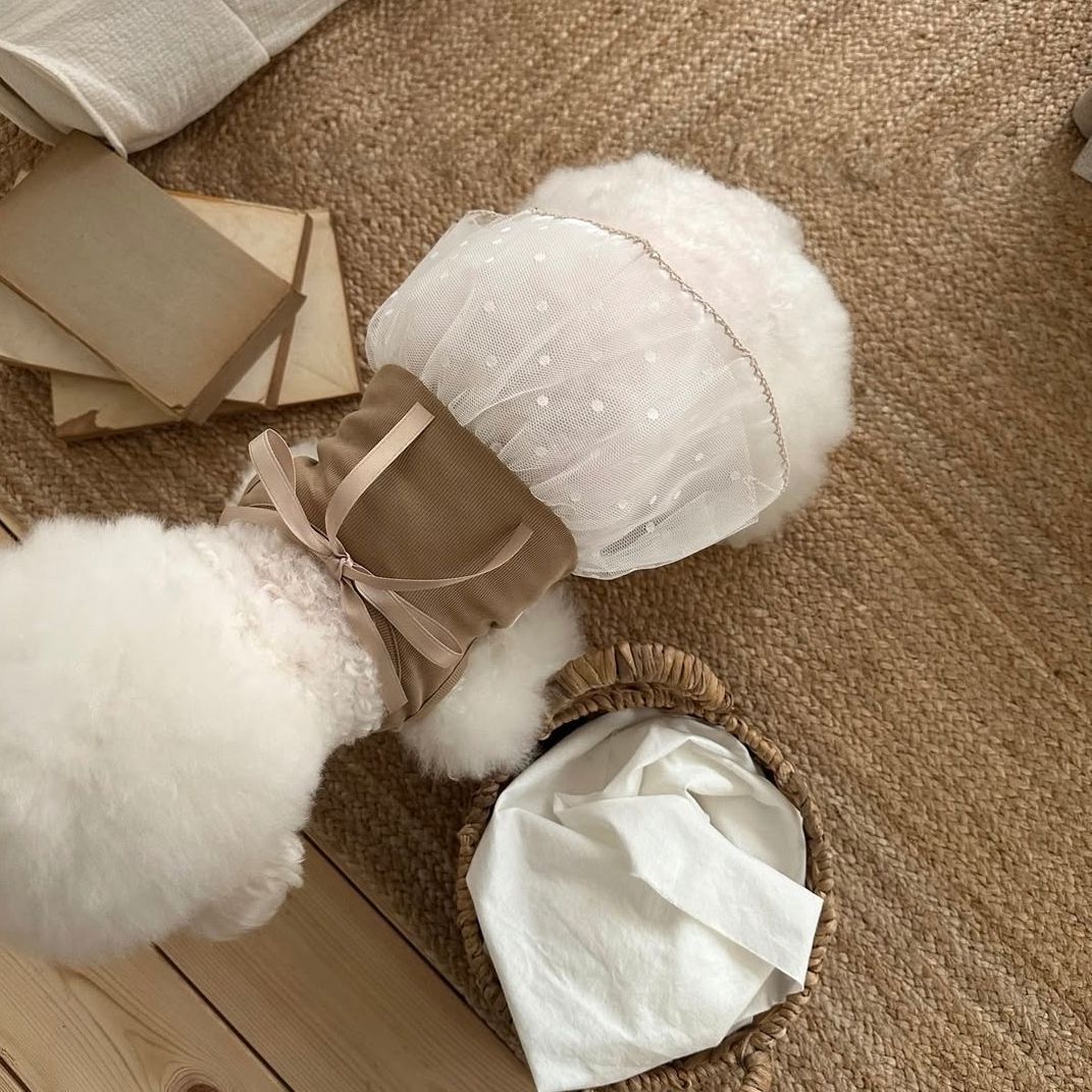 Spring and Summer Pet Lace Cam - Lace Teddy Lingerie ulasan dan harga